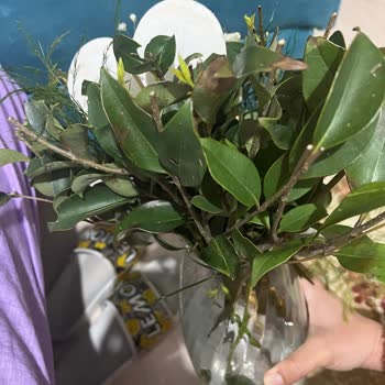 Osevio.com Kadınlar Günü Çiçek