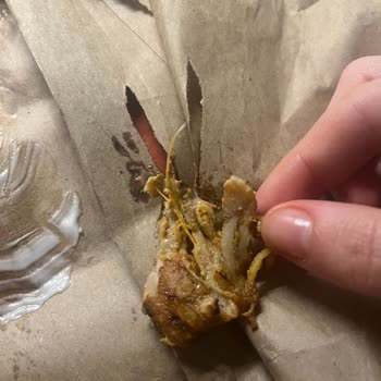 Harrbi Döner İçinden Tavuk Tüyü Çıktı!