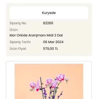 İstanbul Çiçekleri Sorumsuzluğu Ve Teslim Edilemeyen Ürün