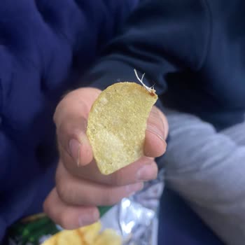 Lays Cips İçinden Çıkan Şey