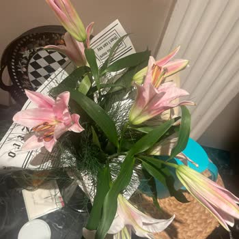 ÇiçekSepeti Skandalı