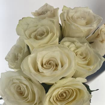 Çiçek Sepeti Ürünün Arkasında Durmuyor