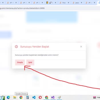 Hız Hosting Sunucu Stabil Çalışmıyor