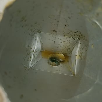 Tamek Meyve Suyu Peçete Gibi Bir Şey Çıktı