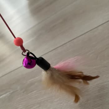 Minipati.com Sahte Hesap Gibi Düşünüyorum.