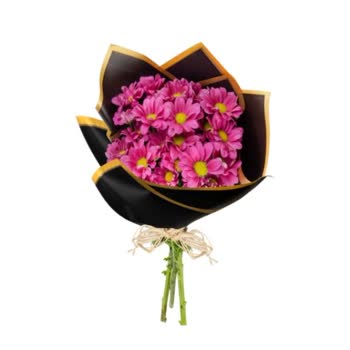 Hira Çiçek Şikayetçiyim