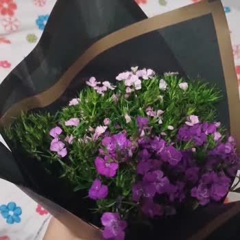 Hira Çiçek Şikayetçiyim