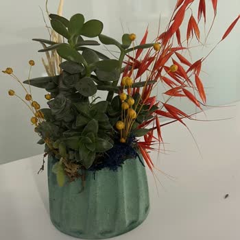 Taze Çiçek (tazecicek.com) Çiçek Siparişinde Beklenmedik Sürprizler Ve Müşteri Hüsranı