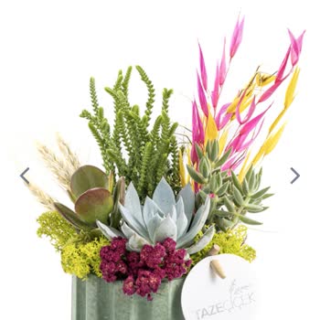 Taze Çiçek (tazecicek.com) Çiçek Siparişinde Beklenmedik Sürprizler Ve Müşteri Hüsranı