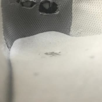 New Balance 530 File Yırtılması Ve İç Kısım Yırtığı