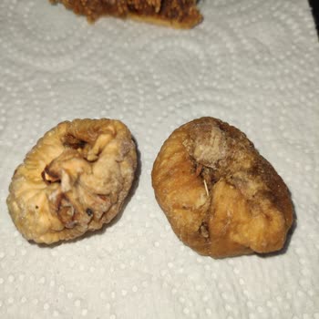 Tarım Kredi Kooperatif Market Tarım Kredi Kooperatifleri-İncirde Kurtlanma & Çürüme, Kıl Çıkması