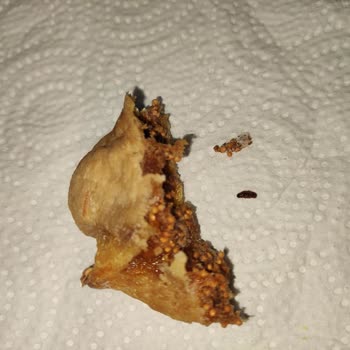 Tarım Kredi Kooperatif Market Tarım Kredi Kooperatifleri-İncirde Kurtlanma & Çürüme, Kıl Çıkması