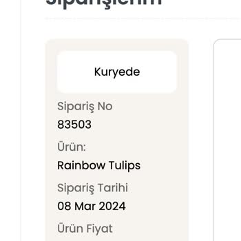 İstanbul Çiçekleri Sipariş Teslim Edilmedi, Mağdur Oldum!