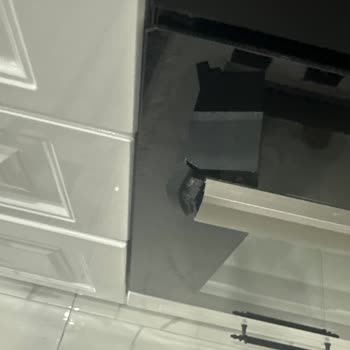 Alveus Fırın Kulpu Kırık Servis Parasını Aldığı Halde Yapmamakta