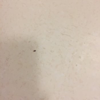 Sakarya Eğitim Ve Araştırma Hastanesi Temizlik Hakkında Şikayet