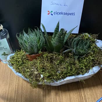 Çiçek Sepeti Samsun