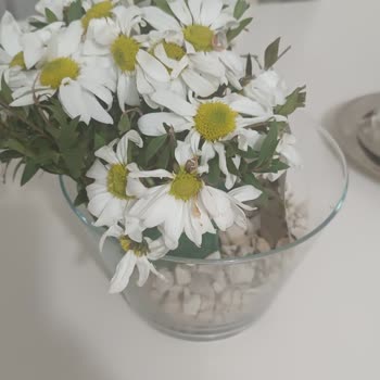 ÇiçekSepeti Özel Günü Mahveden Çiçek