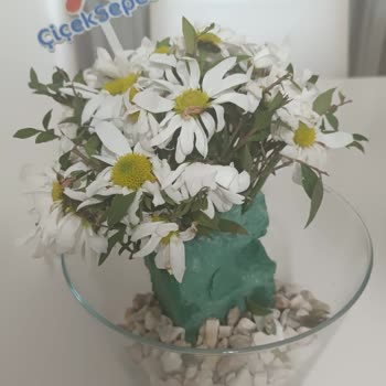 ÇiçekSepeti Özel Günü Mahveden Çiçek