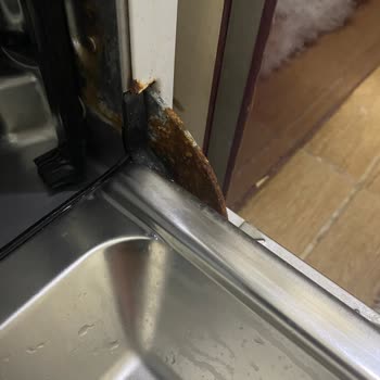 Samsung Bulaşık Makinesi Pas Şikayeti