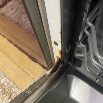 Samsung Bulaşık Makinesi Pas Şikayeti