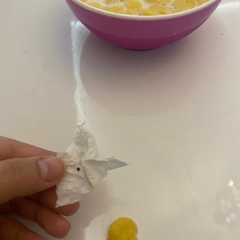 Kellogg's Mısır Gevreği Kanatlı Böcek