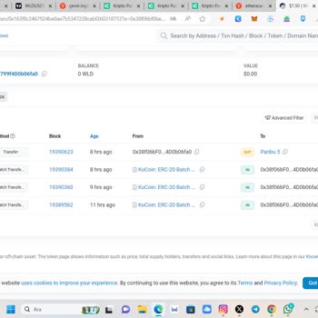 Paribu Paramı Hesabıma Yatırmıyor