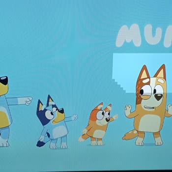 Nordmende Tv  Pişmanlığı ve Çözülemeyen Sorun.