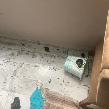 Beko Tumble Dryer Burned 1 Months Ago!! Still No Response From Beko!!