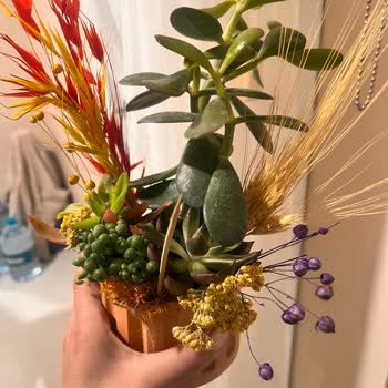 Taze Çiçek (tazecicek.com) Görseldekiyle İlgisi Yoktu