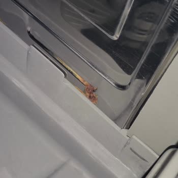 Siemens Bulaşık Makinesi Şikayeti