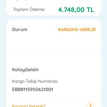 Paranızla Rezil Olmak İstemiyorsanız E-bebek Ve Jetizz Kargo Uzak Dur