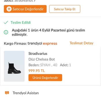 5 Aylık Stradivarius Bot İkiye Ayrıldı!