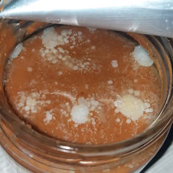 FitNut Gıda Fitnut Fıstık Ezmesi