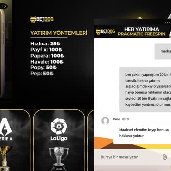 Betdog Kayıp Bonusumu Vermiyorlar