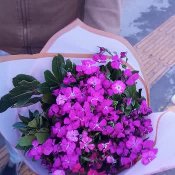 ÇiçekSepeti Çiçek Sepetinin Kalitesizliği