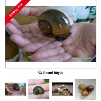 Canlıpetshop.com Bir Hatadır