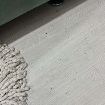 Sade Hizmet (sadehizmet.com) Temizlik Görevlisi Kadın Evi Mahvedip Gitti