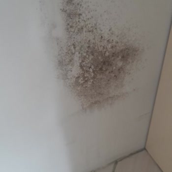 Beko Nofrost Buzdolabı İle Alakalı Sorun