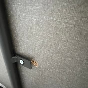 Enza Home Kusurlu Ürün Değişimi Sağlanmıyor
