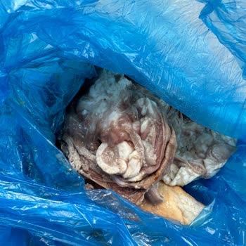 Tarihi Kokoreç Kalitesiz Kokoreç Satışı Hakkında Duyarlılık