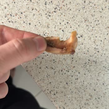 Tarihi Kokoreç Kalitesiz Kokoreç Satışı Hakkında Duyarlılık