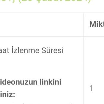 İnsan Sepeti Youtube İzlenme Hizmetinde Yaşanan Sorunlar
