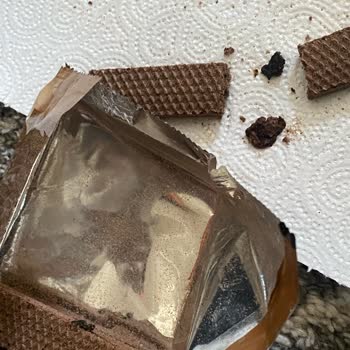 Eti Gıda Eti Gofret Yabancı Siyah Cisim