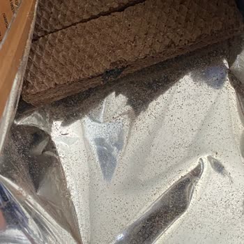 Eti Gıda Eti Gofret Yabancı Siyah Cisim