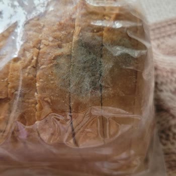 Schar Marka Ekmeğin Son Kullanma Tarihi Olmasına Rağmen Küflendi