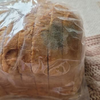 Schar Marka Ekmeğin Son Kullanma Tarihi Olmasına Rağmen Küflendi