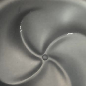 PHILIPS Ev Aletleri Philips Airfryer Şikayet