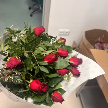 Osevio.com Verilen Sözler Tutulmadı Ve Mahcubiyet Yaşadım