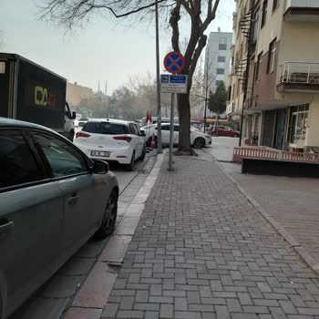 Emniyet Genel Müdürlüğü Bitmeyen Her Gün Yapılan Park İhlali