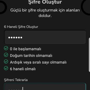 Nays Yeni Şifre Oluşturamama Sorunuma Yardımcı Olmuyor